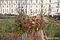 VBS_6838 - FLOREAL Ottobre 2022 - Tre giorni di fiori, piante e bellezza